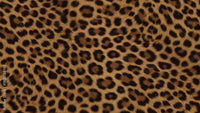 Leopard Print